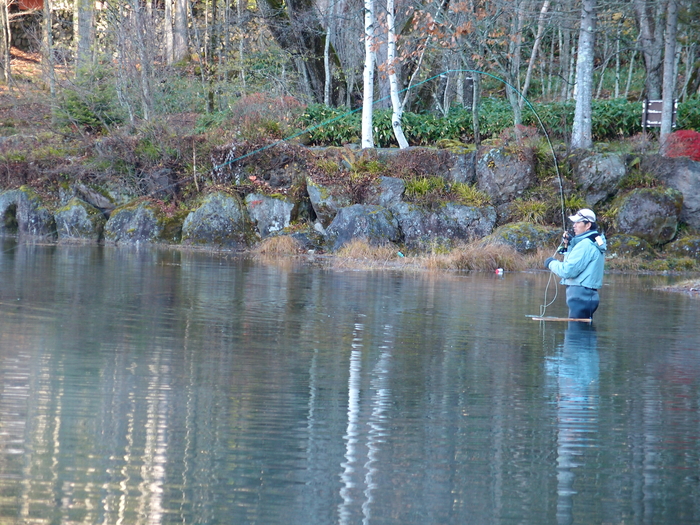 d0126708_1657968.jpg