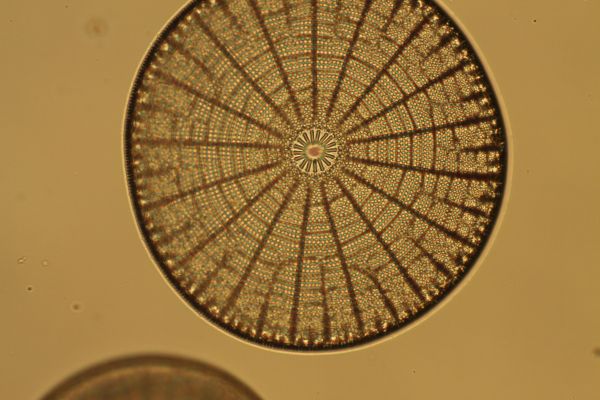 c0164709_21354629.jpg