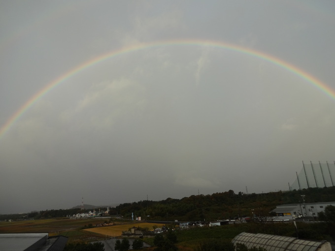 d0117011_6125180.jpg