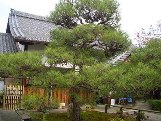 e0033713_17383611.jpg