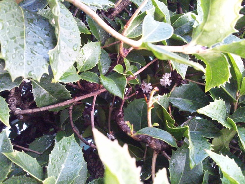 c0150520_149232.jpg