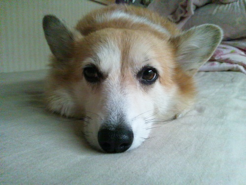 c0150520_1552667.jpg