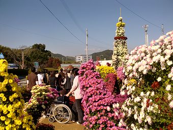 e0255020_23265937.jpg