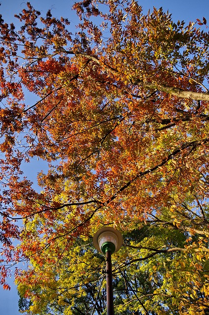e0184921_2241438.jpg