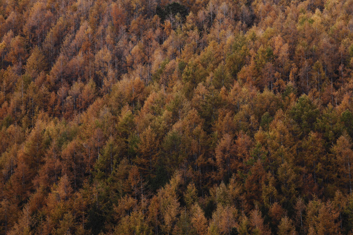 f0081726_21141913.jpg