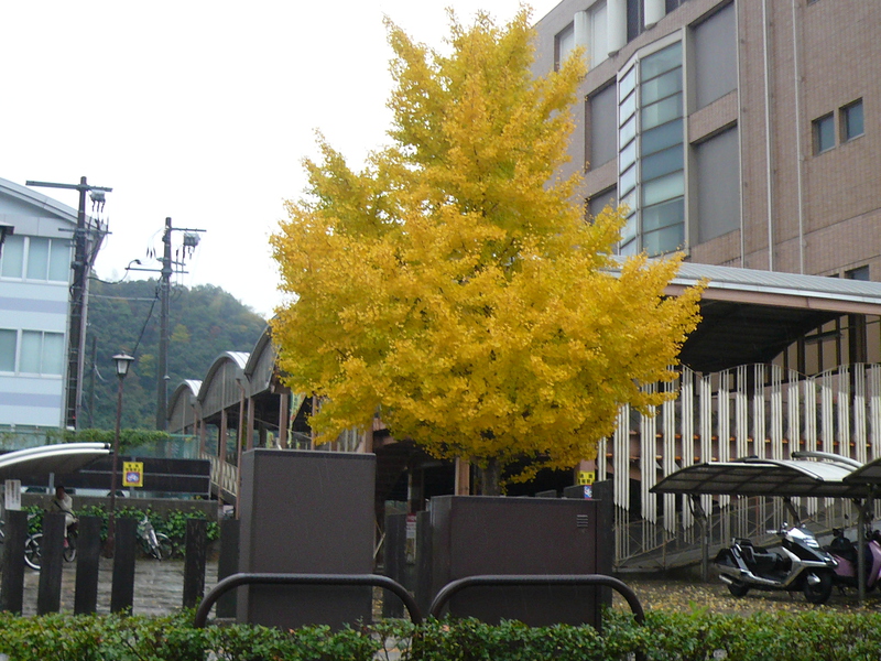 a0162330_10174165.jpg