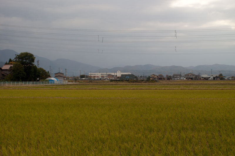 b0177233_11331896.jpg