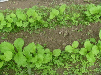 b0246036_12393673.jpg