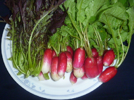 b0246036_12425321.jpg