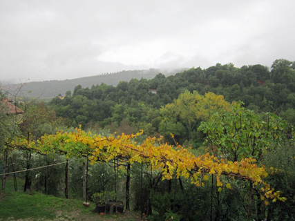 f0234936_21105159.jpg