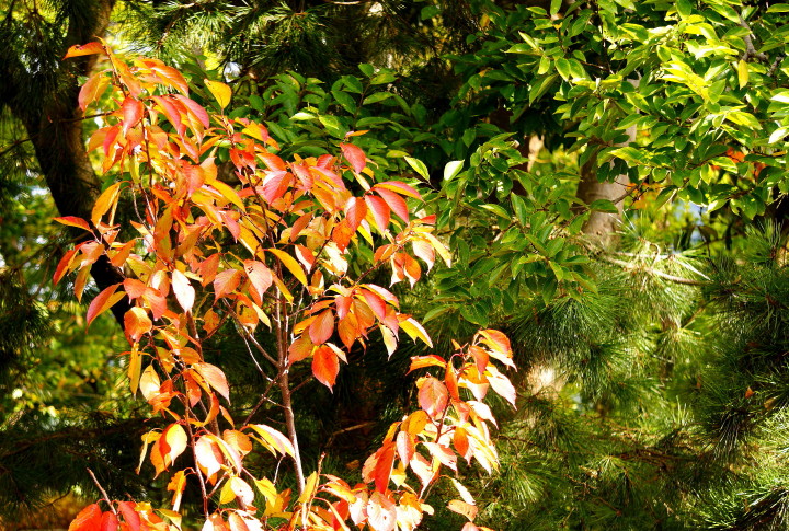 d0241937_15503412.jpg