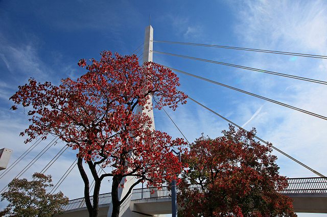 a0242438_19391591.jpg