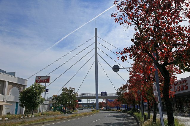a0242438_1939191.jpg