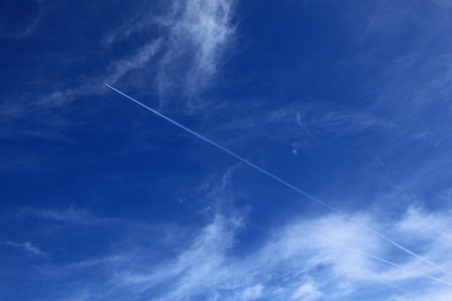 a0242438_19402449.jpg
