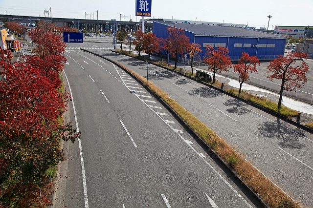 a0242438_1940438.jpg