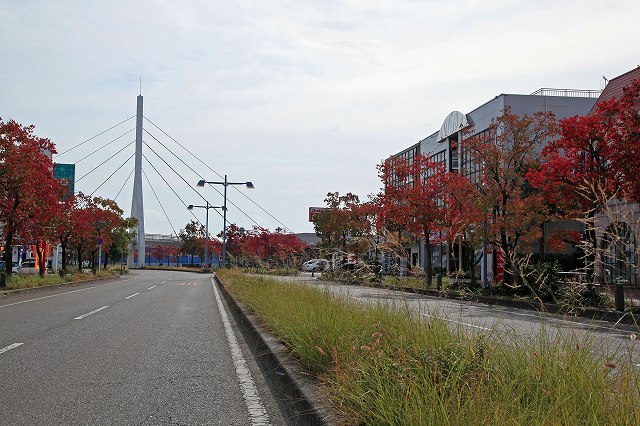 a0242438_1942120.jpg
