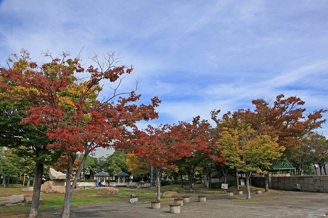 a0242438_19425970.jpg