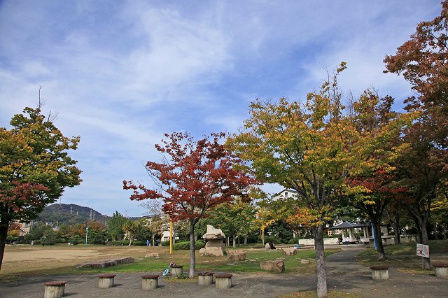 a0242438_19434454.jpg