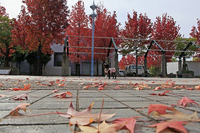 a0242438_1944498.jpg
