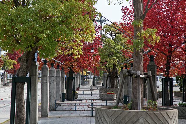 a0242438_1946629.jpg