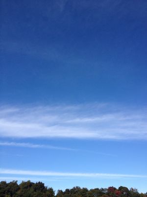 f0214139_1619834.jpg