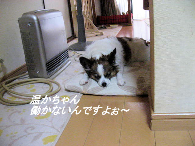 a0149240_12371373.jpg