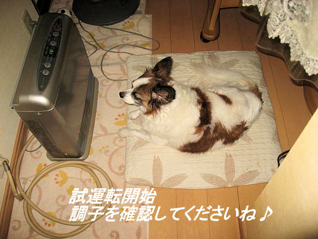 a0149240_1237218.jpg