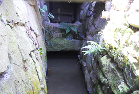 f0205340_17163920.jpg