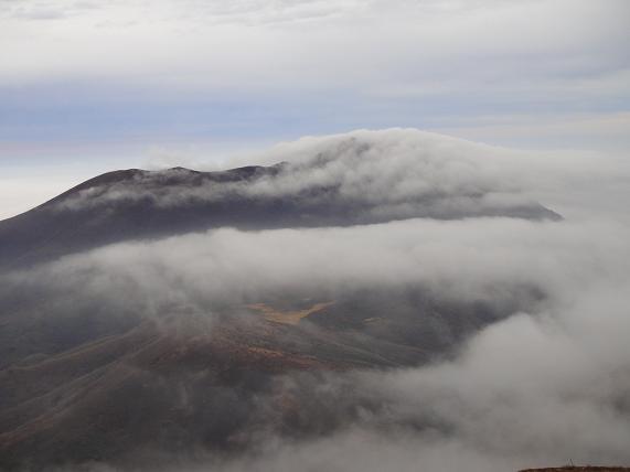 e0164643_2153059.jpg