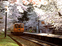 f0102245_12244282.jpg