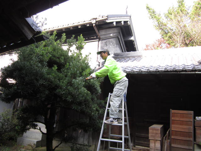 b0132746_20152046.jpg