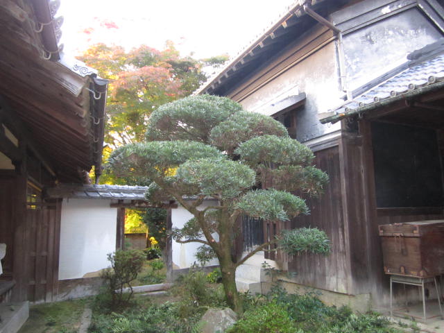 b0132746_20183015.jpg