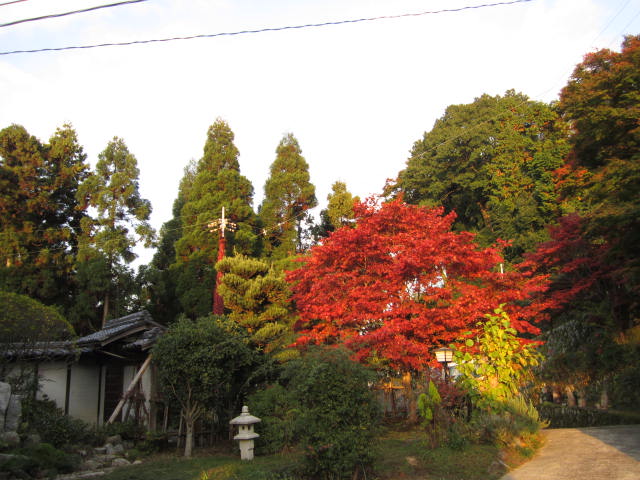 b0132746_2018717.jpg