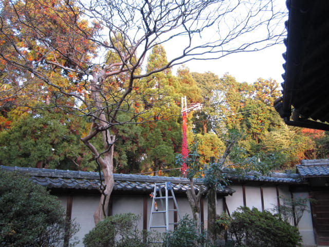 b0132746_2028117.jpg