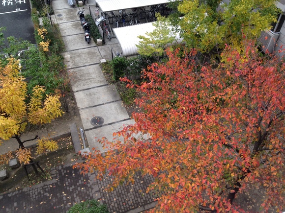c0073649_14591957.jpg