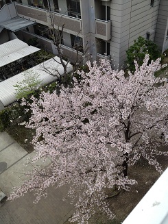 c0073649_1544081.jpg