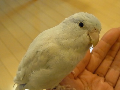 a0251851_0281355.jpg