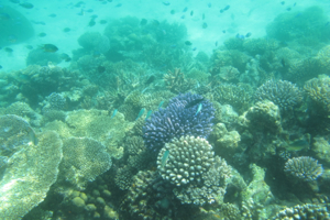 f0190653_10205655.jpg