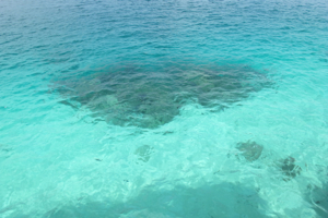 f0190653_10555780.jpg
