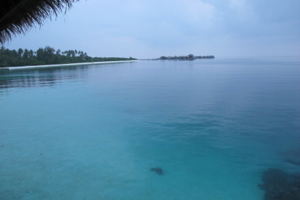 f0190653_10595813.jpg