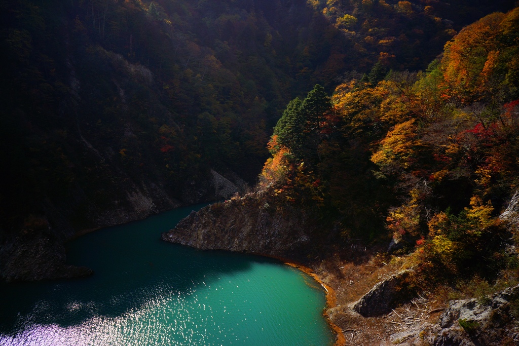 e0223456_892854.jpg