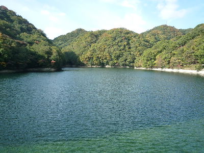 b0165358_22273748.jpg