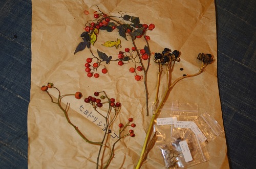 c0186463_1853337.jpg