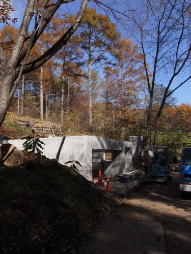 c0166668_1126859.jpg