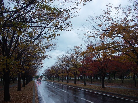 b0194872_19565592.jpg