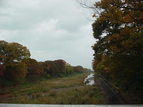 b0194872_1956835.jpg