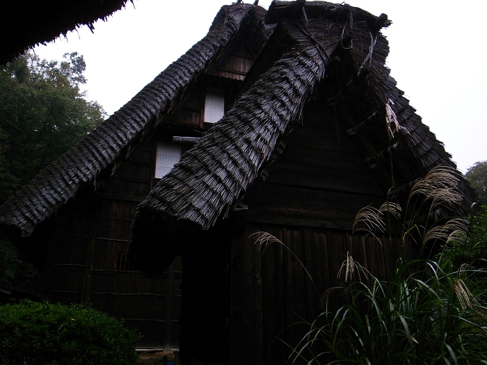 f0115475_18542512.jpg
