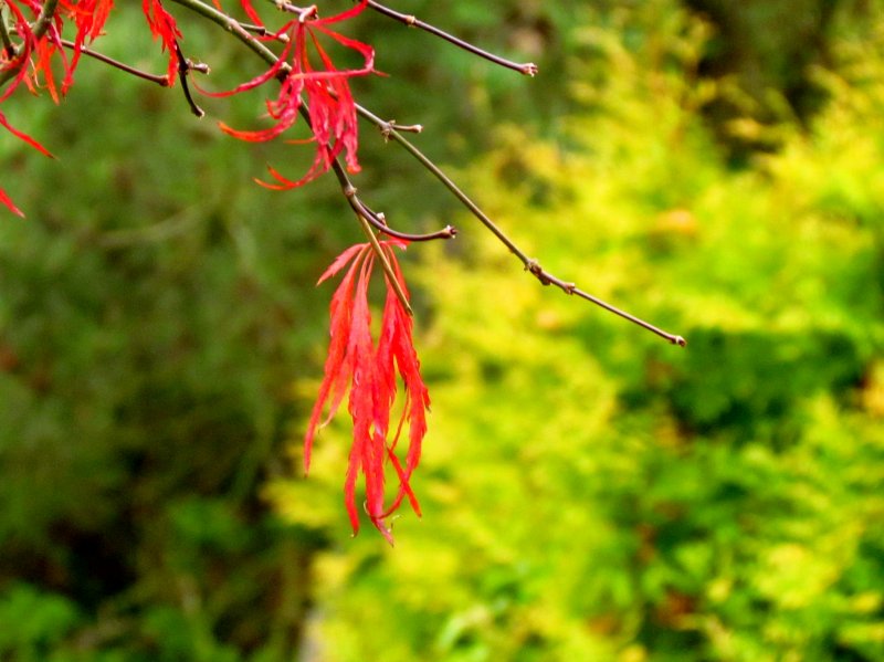 c0183777_4281465.jpg