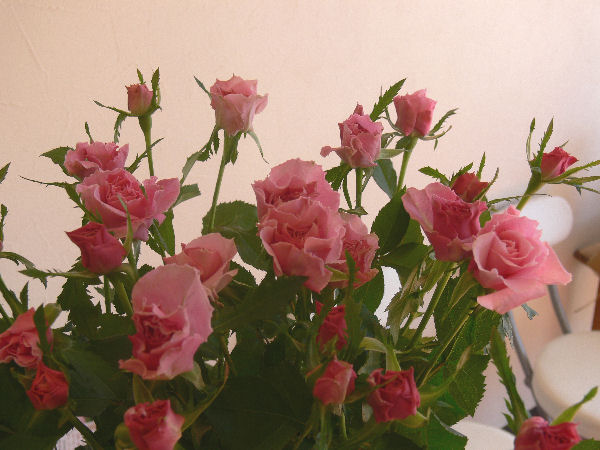 e0140986_13411347.jpg