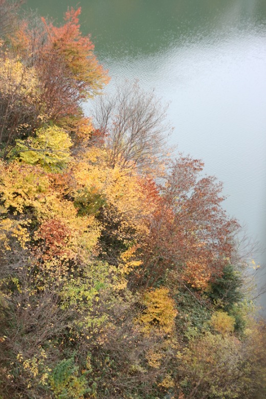 d0146888_1920155.jpg